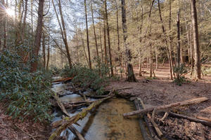 The Appalachian Trail