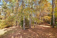 13 King Arnold Dr, Dallas, GA 30157 - The Virtual Tour