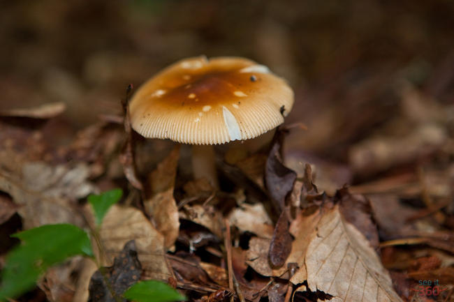 img_1449 img_1449