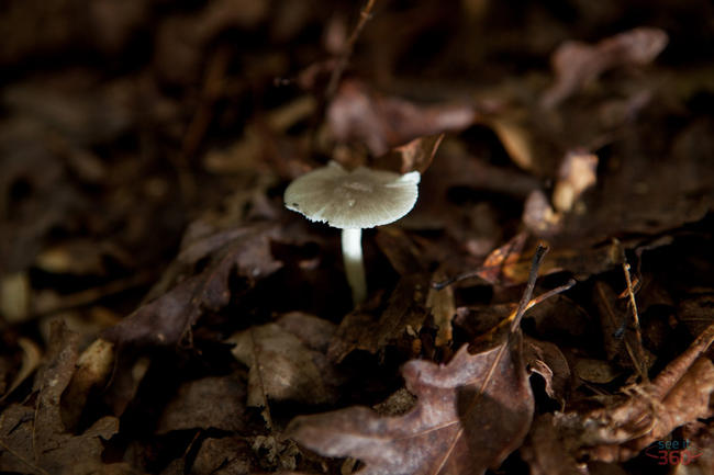 img_1450 img_1450