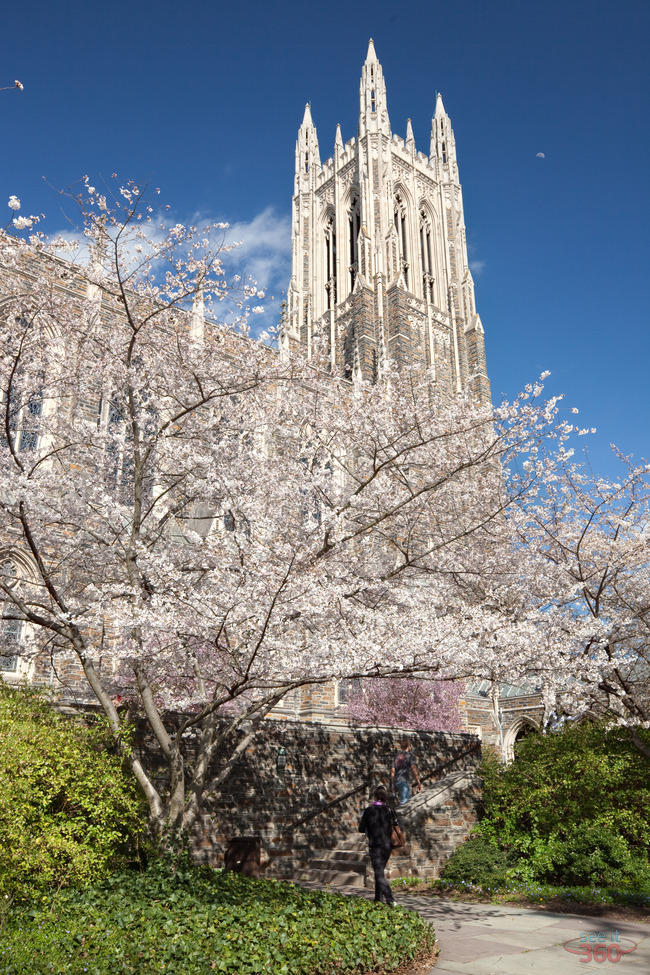 Duke University Chapel in Spring