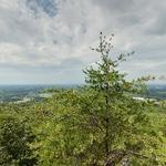 Indian Seats of Sawnee Mountain Preserve