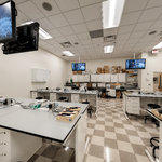 Philadelphia College of Osteopathic Medicine: Pharmacy Labs 