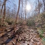 Appalachian trail: Springer Mountain