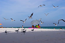 Pensacola Beach, Florida